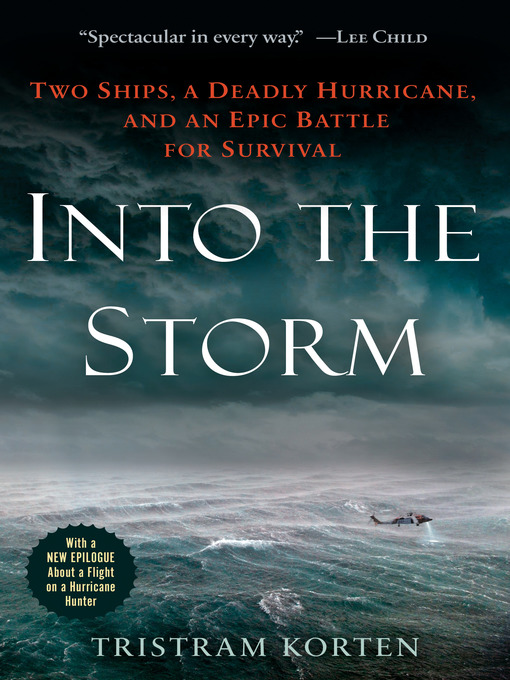 Title details for Into the Storm by Tristram Korten - Wait list